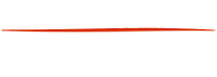 North-Dallas-Dent-1-logo